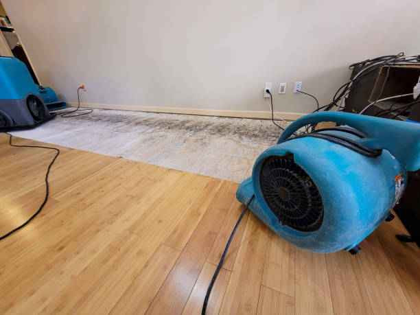 Professional Emergency Water Damage technician working in Holt, MO